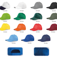 pm105 copia